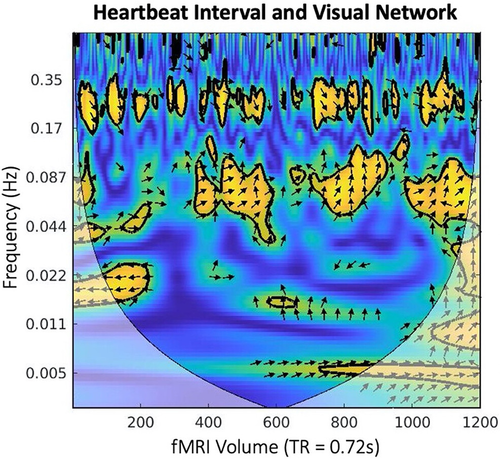 Wavelet_HBM_2023