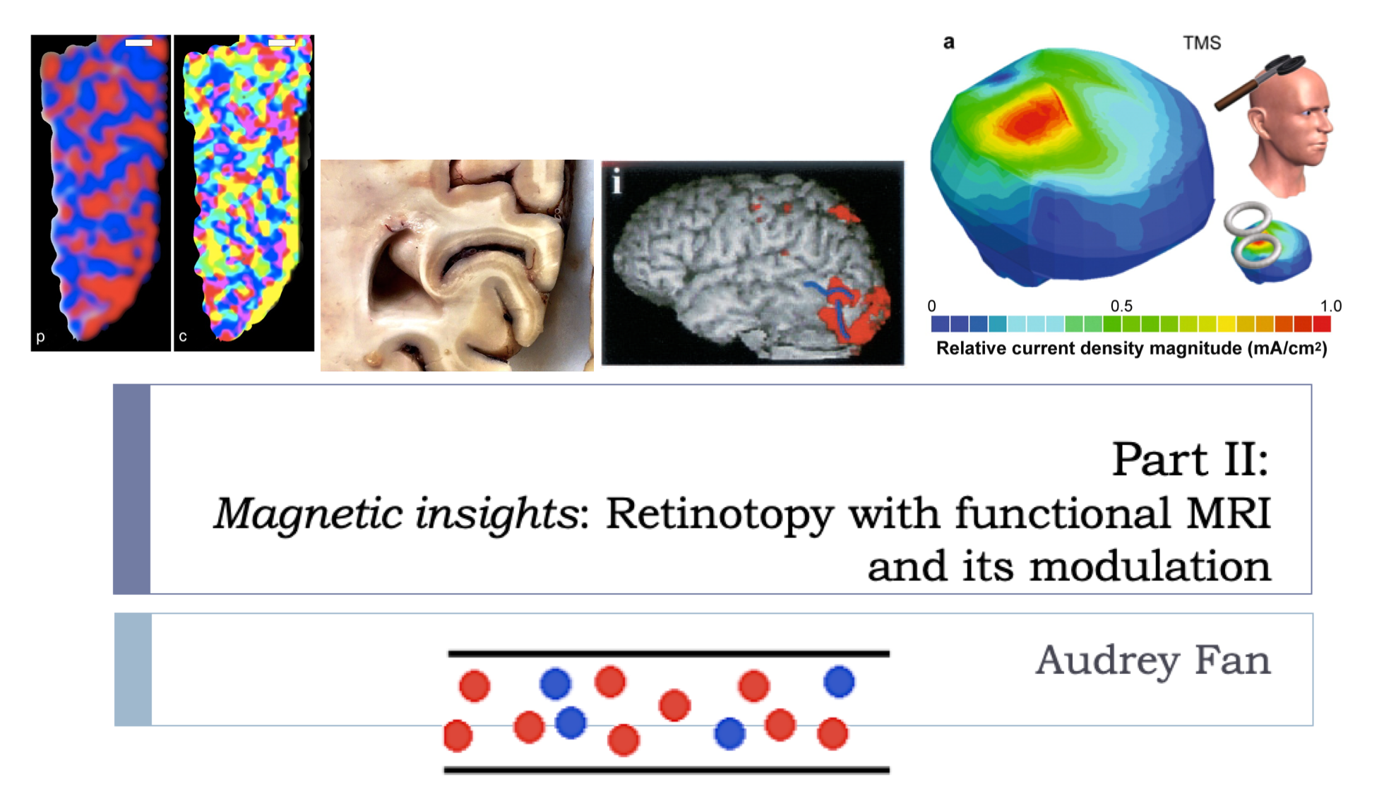 Magnetic insights