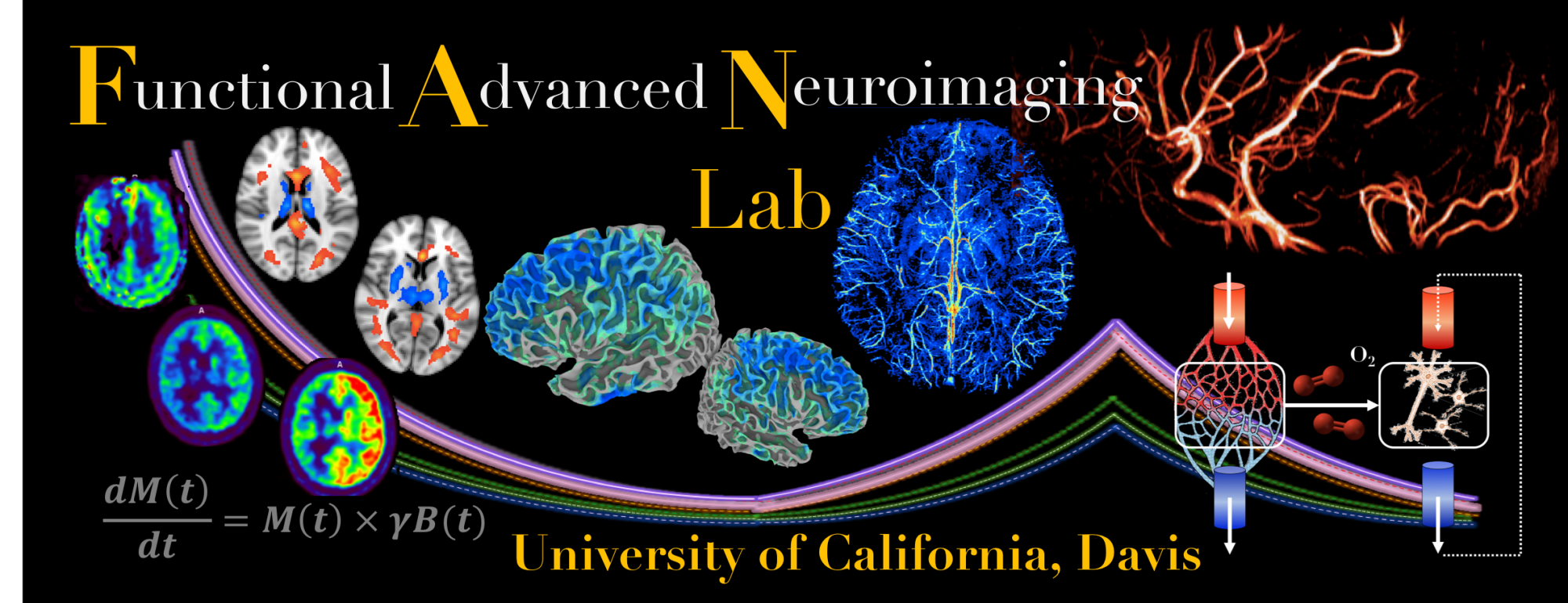 Functional Advanced Neuroimaging (FAN) Lab @ UC Davis